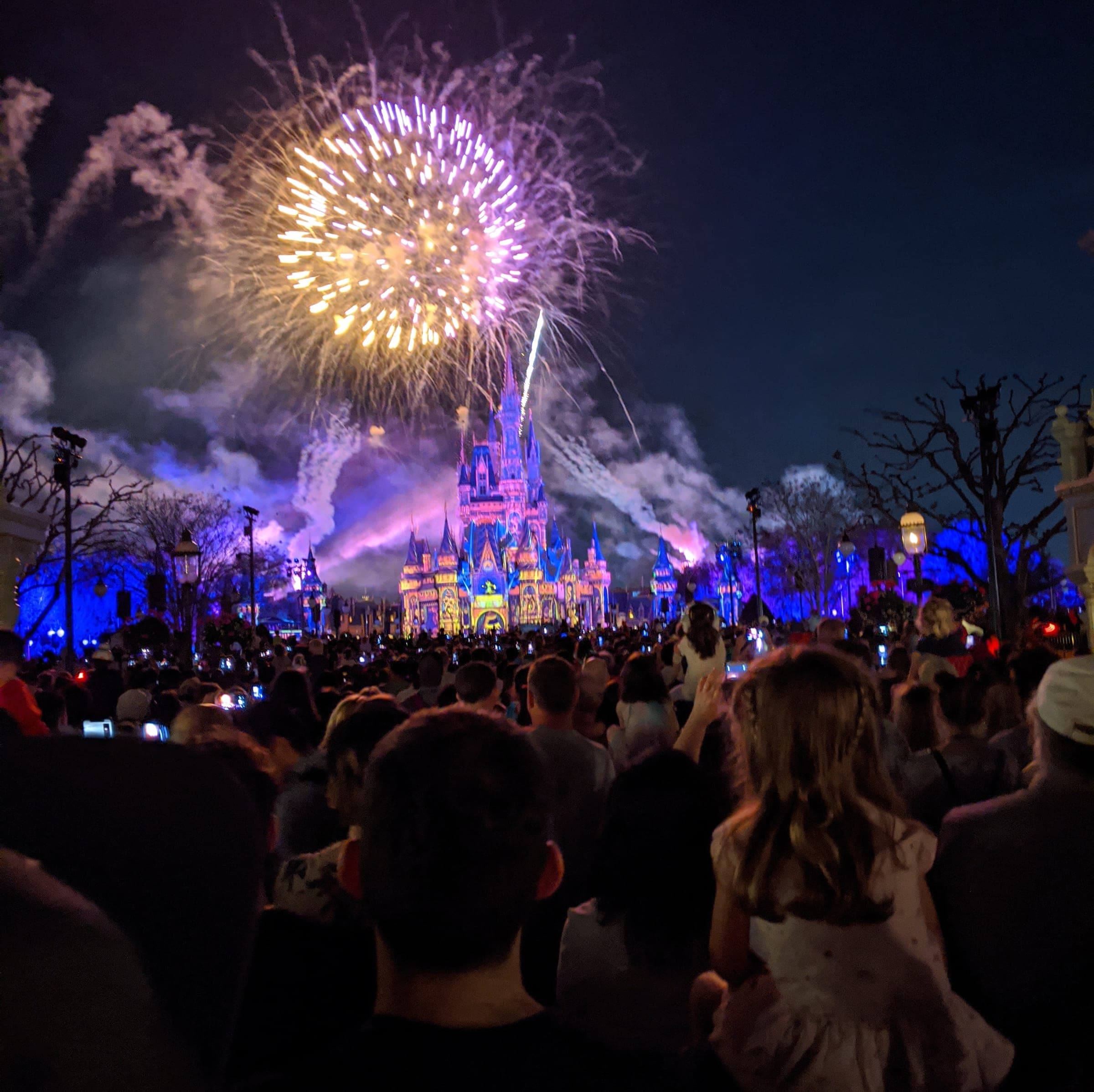 Familias de espaldas mirando los fuegos artificiales sobre el castillo